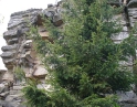 květen 2009 - Jarní výšlap