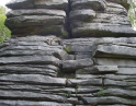 květen 2009 - Jarní výšlap