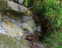květen 2009 - Jarní výšlap