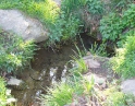 květen 2009 - Jarní výšlap
