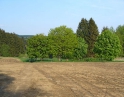 květen 2009 - Jarní výšlap