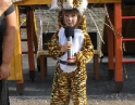 květen 2009 - Dětský karneval MŠ Hodonice