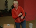 červen 2009 - Volby do Evropského parlamentu