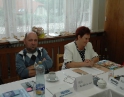 červen 2009 - Volby do Evropského parlamentu