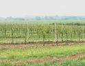 červen 2009 - Krupobití