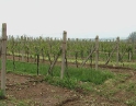červen 2009 - Krupobití