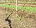 červen 2009 - Krupobití