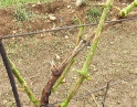 červen 2009 - Krupobití