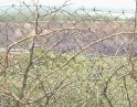 červen 2009 - Krupobití