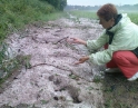 červen 2009 - Krupobití
