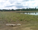 červen 2009 - Krupobití