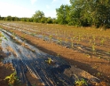 červen 2009 - Krupobití