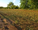 červen 2009 - Krupobití