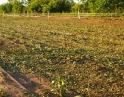 červen 2009 - Krupobití