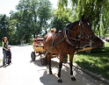 červen 2009 - Dětský den
