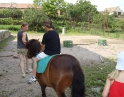 červenec 2009 - Odpoledne pro maminky s dětmi