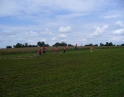 červenec 2009 - Soutěž mladých hasičů