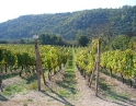září 2009 - Podzimní výšlap