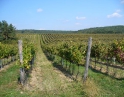 září 2009 - Podzimní výšlap