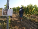 září 2009 - Podzimní výšlap na Šobes