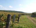 září 2009 - Podzimní výšlap na Šobes