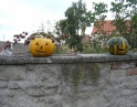 říjen 2009 - Výtvory z dýní v MŠ Hodonice
