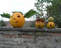 říjen 2009 - Výtvory z dýní v MŠ Hodonice