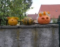 říjen 2009 - Výtvory z dýní v MŠ Hodonice