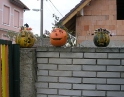 říjen 2009 - Výtvory z dýní v MŠ Hodonice
