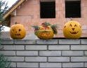 říjen 2009 - Výtvory z dýní v MŠ Hodonice