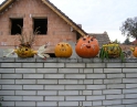 říjen 2009 - Výtvory z dýní v MŠ Hodonice