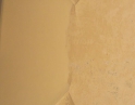 říjen 2009 - Rekonstrukce kostela