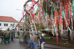 Martinské hody, stavění máji 6.11.2009
