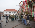 listopad 2009 - Martinské hody, stavění máji