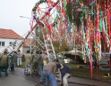listopad 2009 - Martinské hody, stavění máji