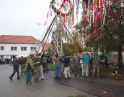 listopad 2009 - Martinské hody, stavění máji