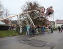 listopad 2009 - Martinské hody, stavění máji