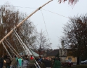 listopad 2009 - Martinské hody, stavění máji