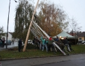 listopad 2009 - Martinské hody, stavění máji