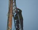listopad 2009 - Martinské hody, stavění máji