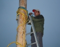 listopad 2009 - Martinské hody, stavění máji