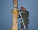 listopad 2009 - Martinské hody, stavění máji