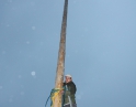 listopad 2009 - Martinské hody, stavění máji