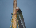 listopad 2009 - Martinské hody, stavění máji