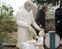 listopad 2009 - Martinské hody, nedělní mše