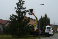 Stavění vánočního stromu 27.11.2009
