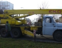 listopad 2009 - Vánoční strom