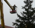 listopad 2009 - Vánoční strom