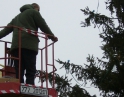 listopad 2009 - Vánoční strom