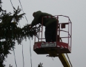 listopad 2009 - Vánoční strom